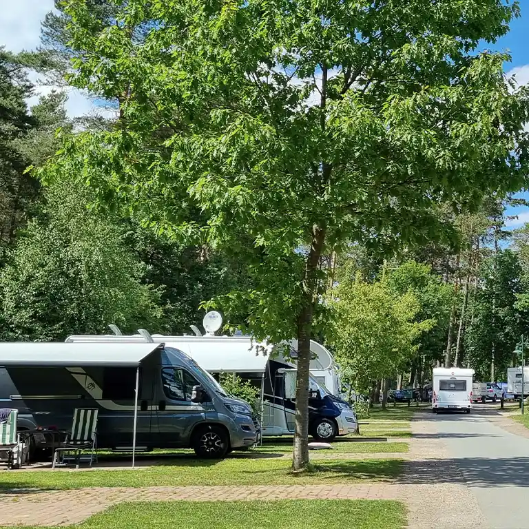 prefer to arrive spontaneously Motorhome pitches at Südsee-Camp with several camper vans under trees along a quiet road