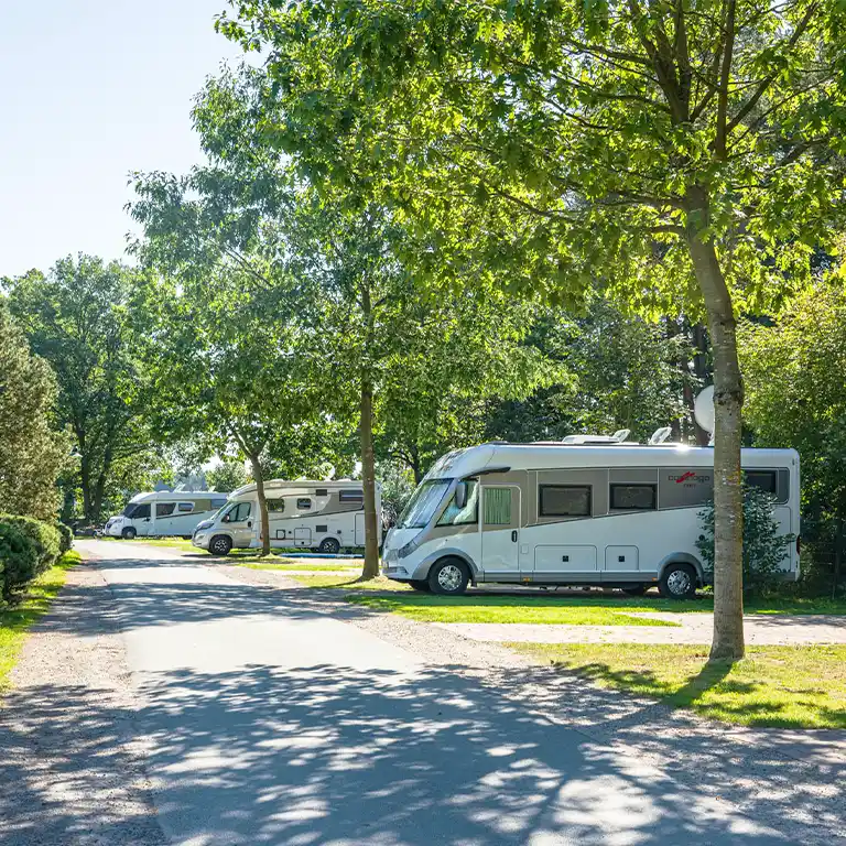 Learn more Motorhome pitches with several camper vans under shady trees at Südsee-Camp