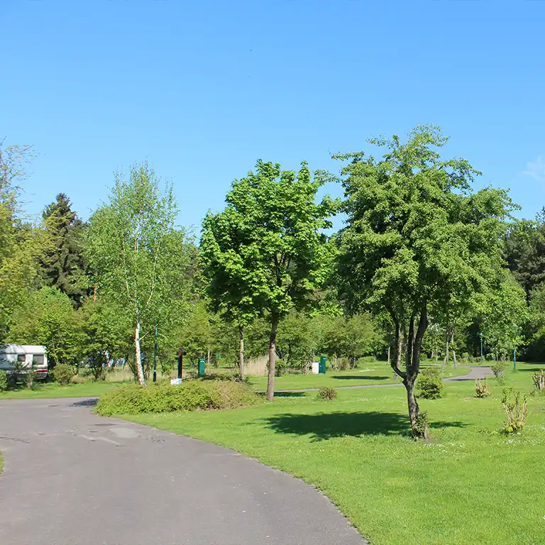 Download detailed plan Quiet, nature-oriented campsite with trees, grassy areas and a paved path