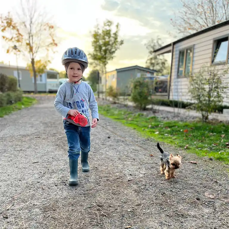 Learn more: Holidays with a dog Small child with bike helmet walking a small dog on a leash between holiday chalets at Südsee-Camp