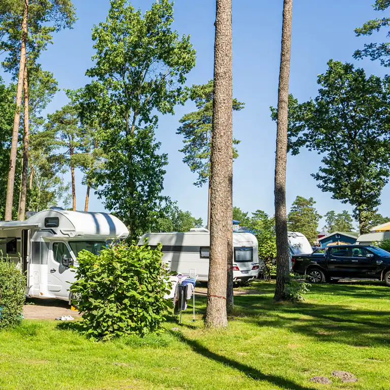 Learn more Motorhomes and caravans on a shaded pitch among trees with grass and a clothesline
