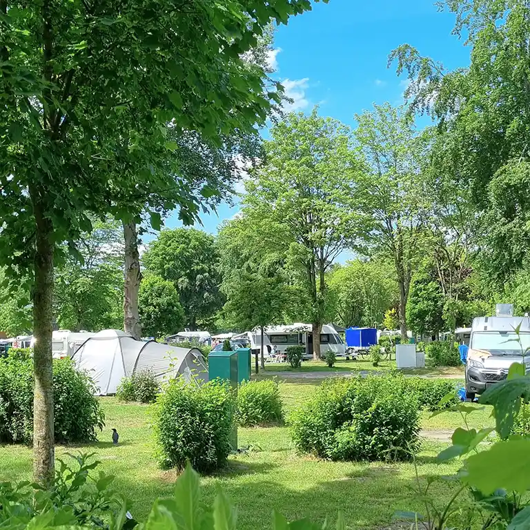 Download detailed map Green camping area with tents, caravans, hedges and many trees at Südsee-Camp