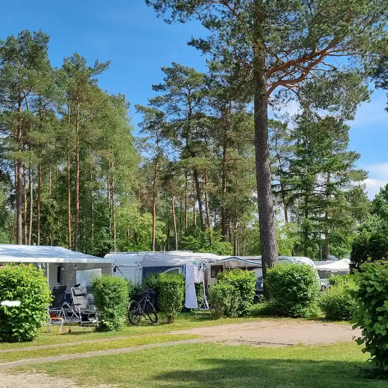 Download detailed map Densely wooded camping area with caravans, awnings, bicycles and tall pine trees at Südsee-Camp