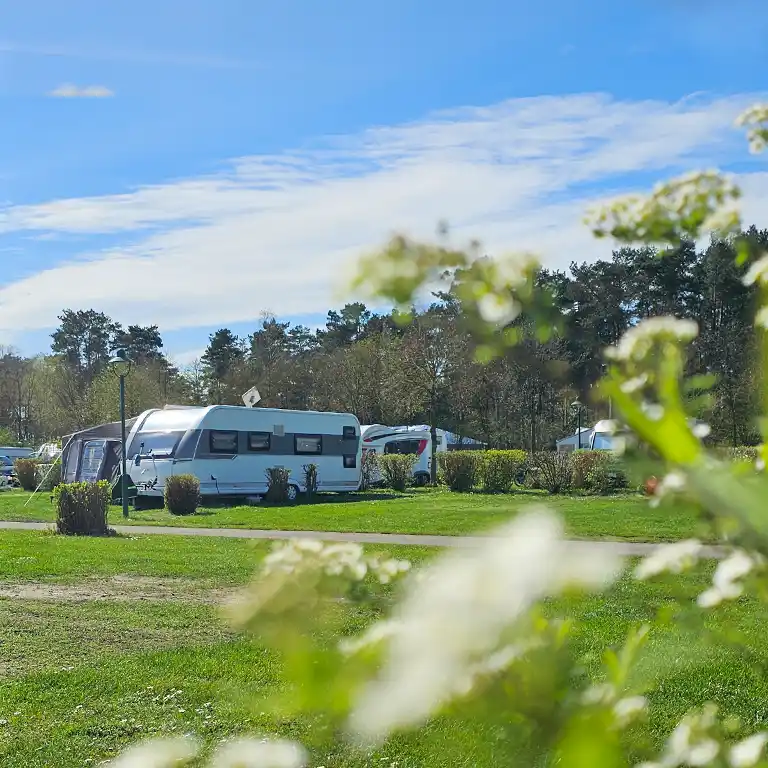 Download detailed map Green pitches in the Sommerland area of Südsee-Camp with caravans and awnings, surrounded by well-maintained hedges and trees – dog-friendly camping area ideal for families.