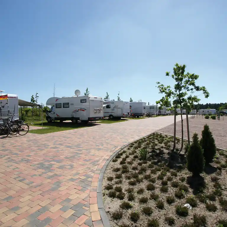 Row of motorhomes on a paved pitch with young trees at Südsee-Camp