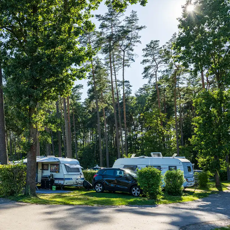 Download detailed map Caravan pitches at Südsee-Camp with cars and awnings at the edge of the forest under tall pine trees
