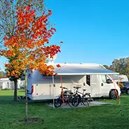 Autumn Break Motorhome behind autumnal trees