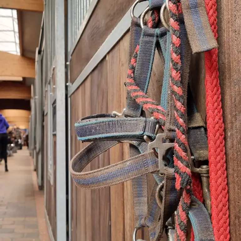 Close-up in the horse stable at Südsee-Camp: A halter with lead rope hangs on the wooden stall, while in the background children and instructors prepare the horses – an authentic glimpse into riding holidays.