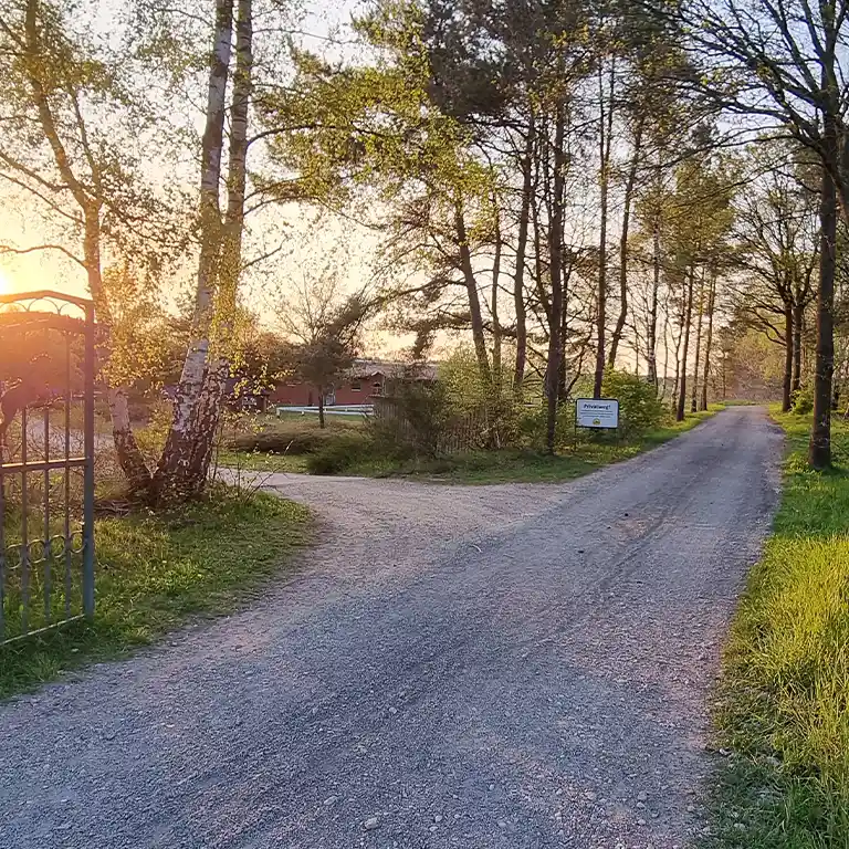 A picturesque path lined with trees leads to the riding stables at Südsee-Camp. The evening sun shines through the greenery, creating a warm and welcoming atmosphere – ideal for a family outing to pony riding.