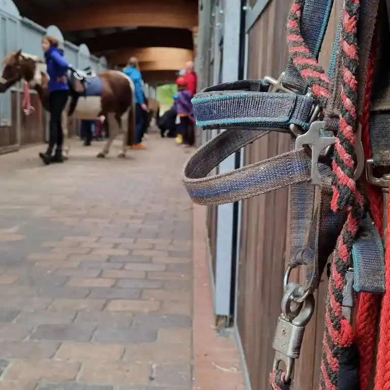 View inside the horse stable at Südsee-Camp: In the foreground, halters and ropes hang on a stall door, while in the background children and instructors prepare ponies – an authentic moment from a family riding holiday.