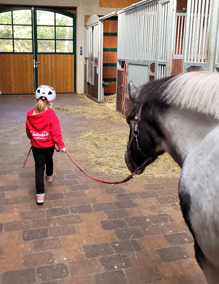 Kind im roten Shirt führt ein Pferd durch die Stallgasse im Reiterhof