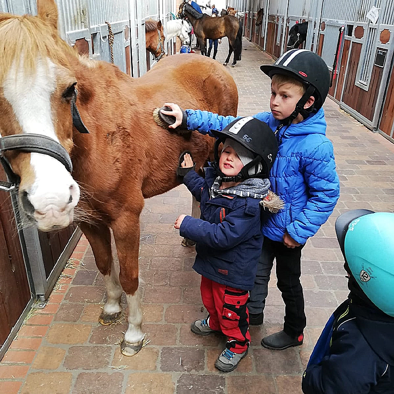 Children wearing riding helmets groom a pony in the stable at Südsee-Camp. With joy and focus, they brush the horse’s coat – a fun and hands-on holiday activity for families with kids.