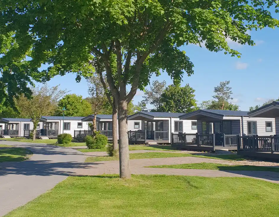 Several Type 2+ chalets at Südsee-Camp in a well-maintained area with green lawns, paved paths, and shade-providing trees. The chalets feature light façades with dark accents and private wooden porches. Blue sky with a few small clouds.