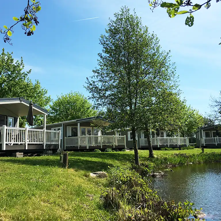 Moderne Chalets mit Holzveranda am Biotop zwischen Bäumen und Grünflächen