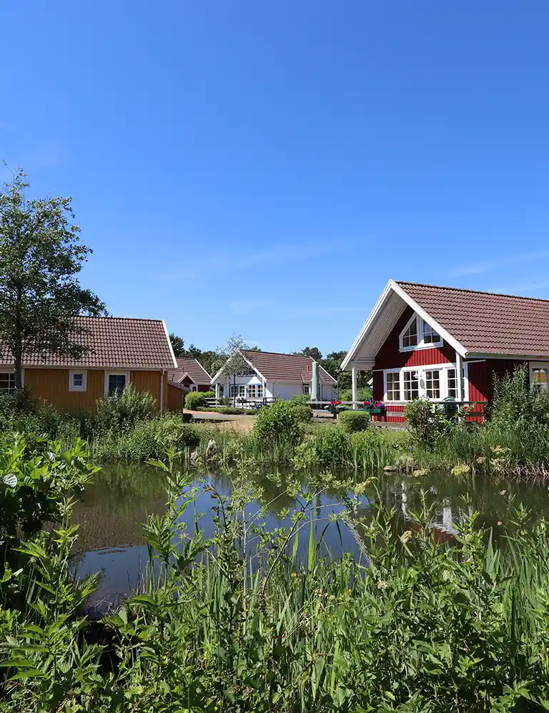 Scandinavian-style holiday homes at Südsee-Camp on a sunny day, overlooking a small pond in the foreground surrounded by lush greenery – a peaceful vacation retreat in nature.