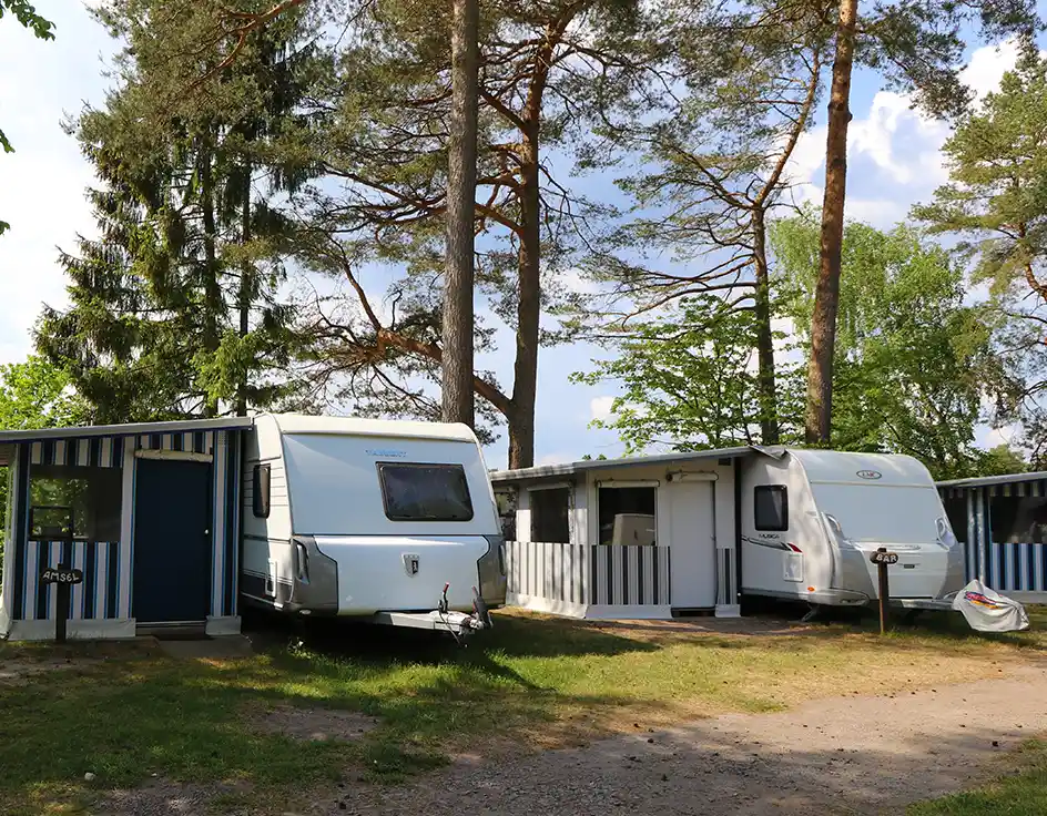 Wohnwagen Typ 2 im Südsee-Camp Zwei Mietwohnwagen im Südsee-Camp mit festem Vorzelt. Links der Wohnwagen „Amsel“ mit blau-weiß gestreiftem Vorzelt, rechts der Wohnwagen „Bär“ mit weiß-grauem Vorzelt. Beide stehen unter hohen Kiefern auf grünem Rasen.