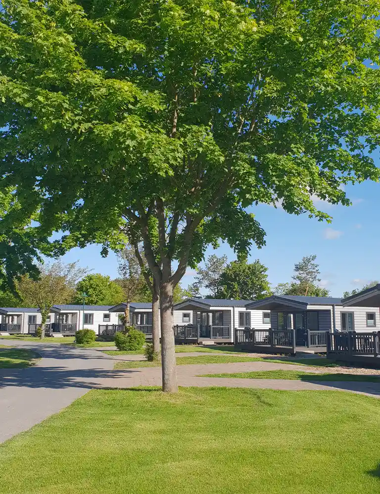 Moderne Chalets in Reihung am Schwanensee im Südsee-Camp, umgeben von gepflegtem Rasen und schattenspendenden Bäumen – ruhige Ferienanlage bei sonnigem Wetter.
